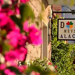Dort Mevsim Алачати