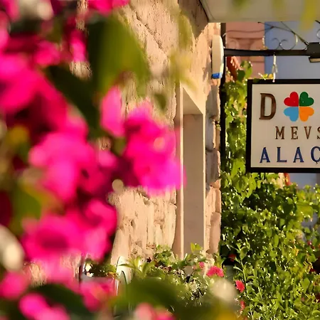 Dort Mevsim Алачати